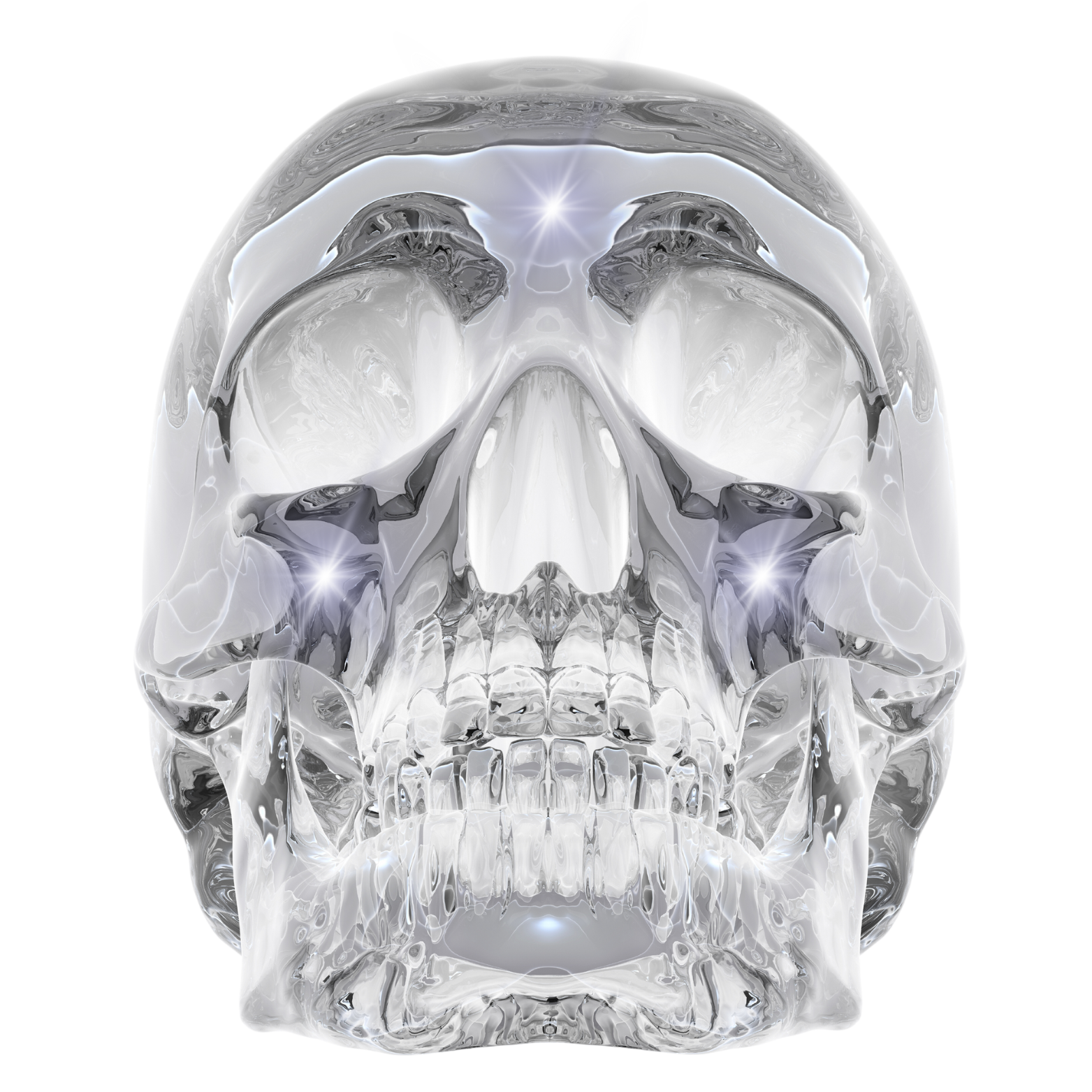 Crâne de cristal Amandine Roy